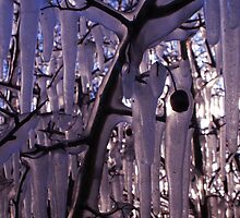Berry Engulfed by Icicle by Josh Moon