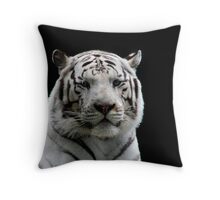 white tiger pillow pet