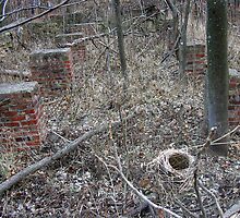 A Place For New Beginnings Among the Old by Carla Wick/Jandelle Petters