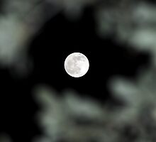 Lunar Eclipse Begins- Lycan Silhouette by T. Victor