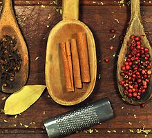 Spices by carlosporto