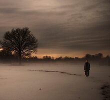 Suburbia by Mary Ann Reilly