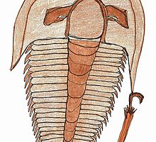 Trilly the trilobite by dthaase