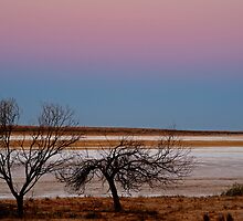 Salt Pan at Dusk, Simpson Desert by Joe Mortelliti