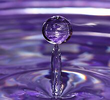 Balancing Act by Keith G. Hawley
