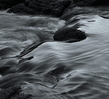 Slipping Away by Natalie Ord
