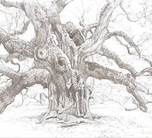 A Living History by Sally O'Dell