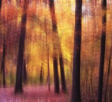 Somewhere I have never travelled by Angela King-Jones