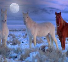 Moonlight Magic by Jeanne Nations