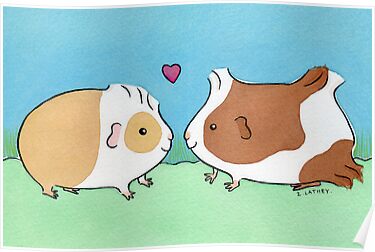 Guinea Pig Posters