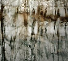 Troubled by Stephanie Jung