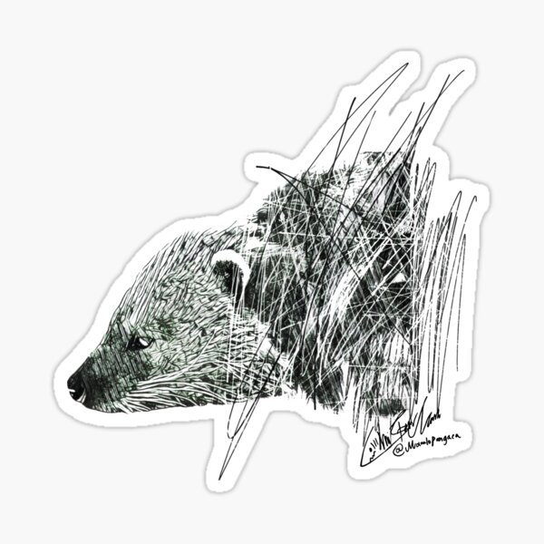 Binturong Bearcat Sticker For Sale By Manalopangaea Redbubble