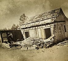 My Ancestors by pat gamwell