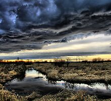Storm Chaser by Raiden1962