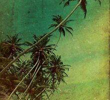 Tropical Vestige by Andrew Paranavitana