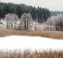 Old lake in winter time by Antanas