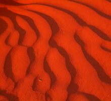A Simpson Desert Red Sunset by Joe Mortelliti