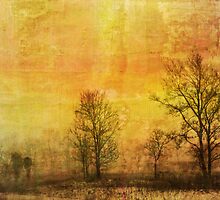Wishful Thinking by enchantedImages