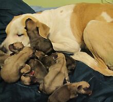 jerzy and babies by gabbielizzie