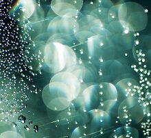 Drops of Jupiter by David Guidas