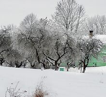 Green House in winter time by Antanas