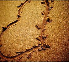 Heart left behind by wilsongrace