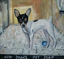 "dog from New York" by Nataliya Stoyanova