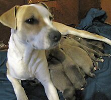 jerzy and her pups by gabbielizzie