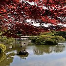 Water bliss - Kyoto by hawkea