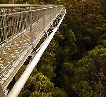 Walking in the treetops by georgieboy98