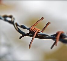Wired up by Ben Bugarach