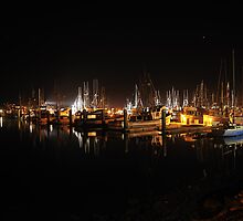 BodegaBay • Starlit Harbor by Richard Leon