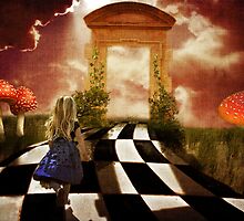 Alice in a Hurry by Erica Yanina Lujan