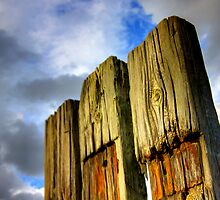 Three Old Sleepers by Dominick J. Hewitt