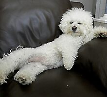 Life is Good by Judy Grant