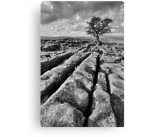 The Yorkshire Dales - Limestone Country Canvas Print