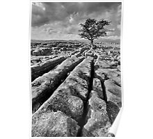 The Yorkshire Dales - Limestone Country Poster