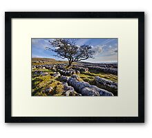 Above Langcliffe - The Yorkshire Dales Framed Print