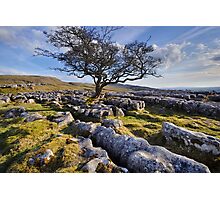 Above Langcliffe - The Yorkshire Dales Photographic Print