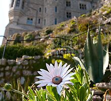 st michaels mount nt property by mikalo