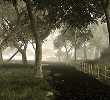 Beyond Expectations by vanyahaheights