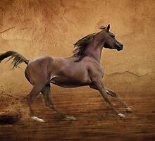 Running arabian horse by Julia Shepeleva