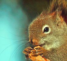 Irresistible by Brian Pelkey