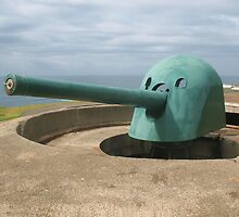 Historic Gun.....or Lying Pinocchio by Michael John