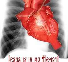 Cardiology for Atheists and other Fundamentalists by Darren Stein