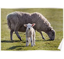 Tek me picture mister! Poster