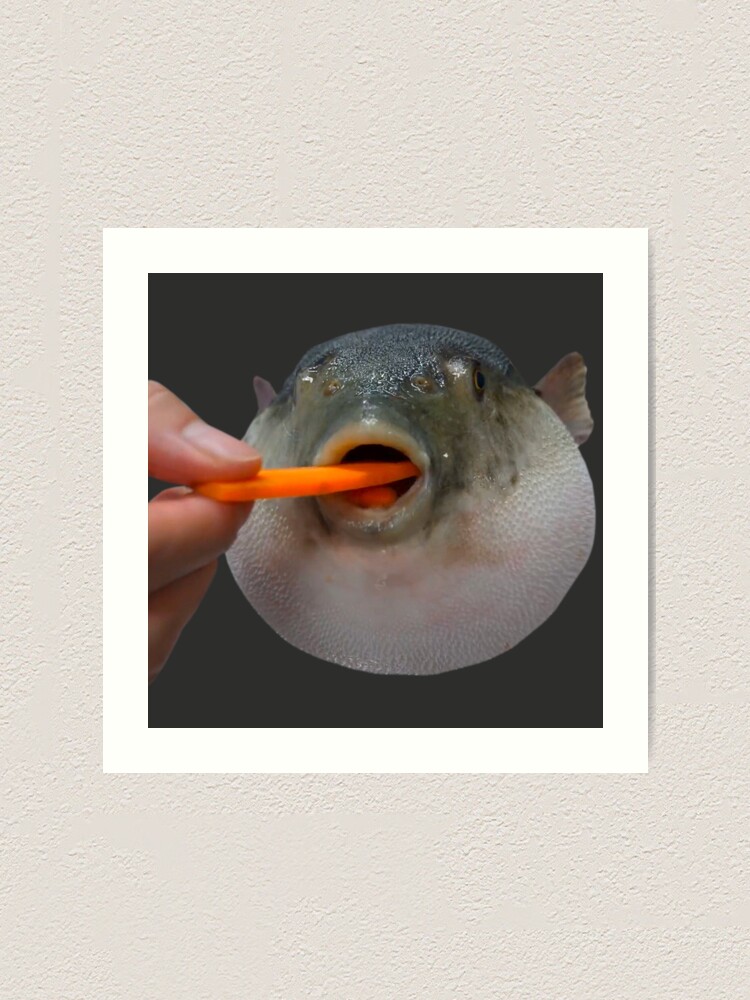 Pufferfish Eating A Carrot Meme Art Print By Goath Redbubble