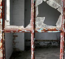 Kings Park Psychiatric Center - looking in by Kristina Gale