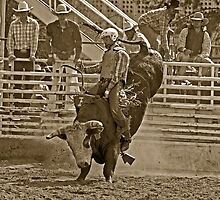 A Rodeo Cowboy Riding His Bull by Buckwhite