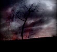 Danza, sangre y paisaje by Andrea Meléndez